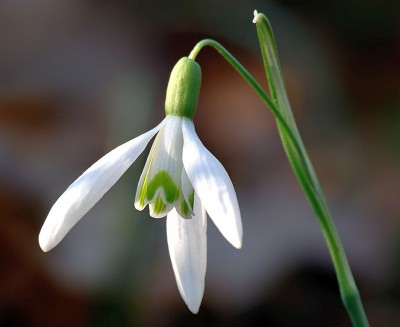 JARO JE TU! PRODEJ BETONU A KAMENIVA OBNOVEN